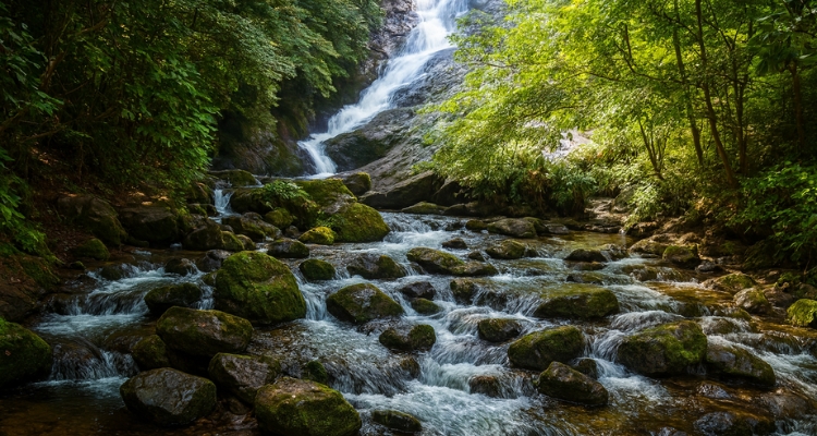 3. Cool Off at Siruvani Waterfalls